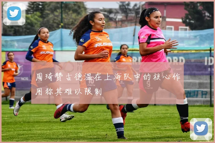 周琦赞古德温在上海队中的核心作用称其难以限制